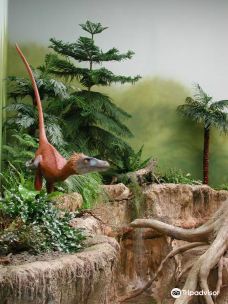 Naturbornholm-阿克尔科拜