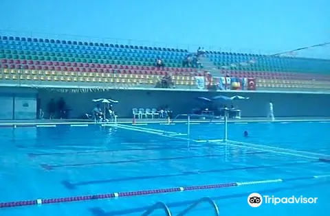 Olympic Pool