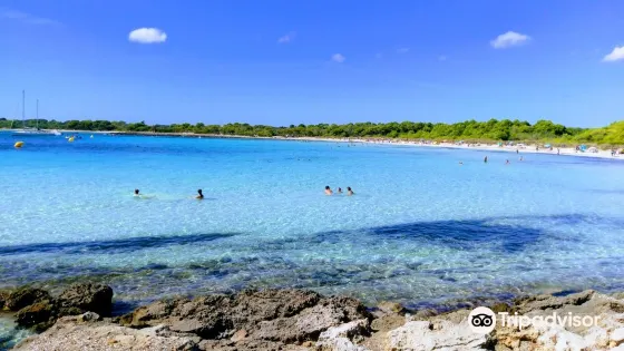 Playa Arenal De Son Saura
