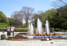 Musashi Kyuryo National Forest Park景点图片