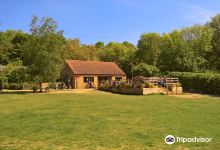 Hinchingbrooke Country Park景点图片