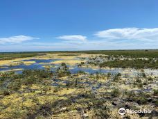 Ottenby Naturum-默尔比隆阿