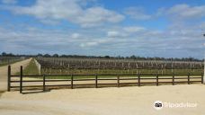 Penley Estate-库纳瓦拉