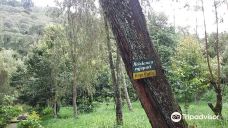Arboretum Sumber Brantas-Bumiaji