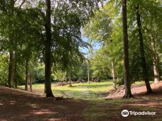 Dyrehaven Vejle-瓦埃勒