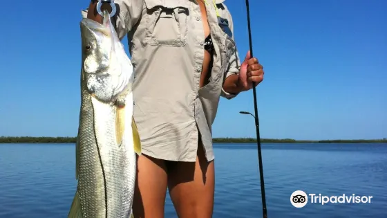 Captain Dave Perkins Fishing Charters