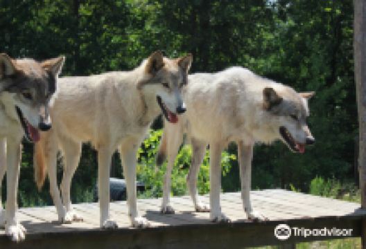 Howling Woods Farm景点图片