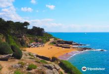 Plage de la Birochere景点图片