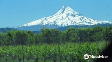 胡德山-胡德里弗县