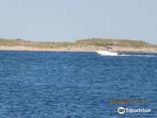 Nelson Memorial Park-普利茅斯