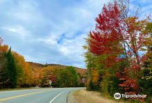 Dixville Notch State Park景点图片
