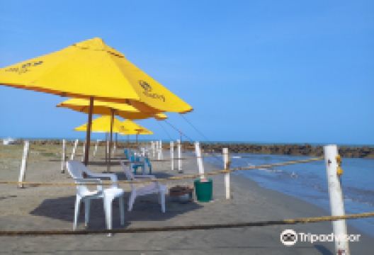 Playa Marbella景点图片