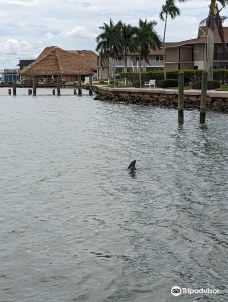 Hemingway Water Shuttle-柯里尔县