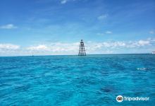 Xotic Island Charters景点图片