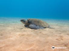 Makena Landing Park-茂宜县