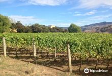 Takamatua Valley Vineyard景点图片