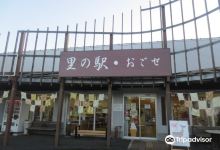 Sato no Eki Ogose购物图片