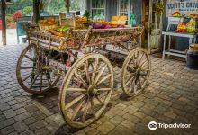 Long and Scott Farms景点图片