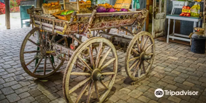 Long and Scott Farms