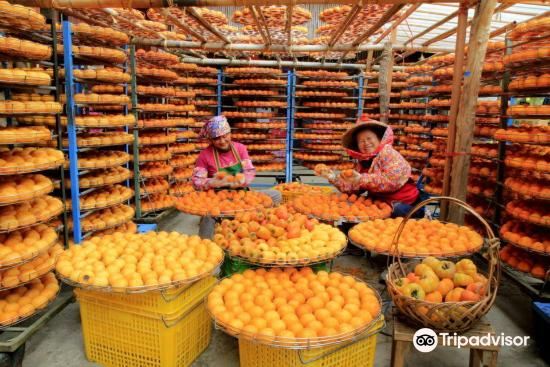 味卫佳柿饼观光农场