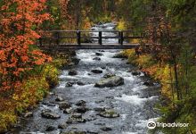 Lapland Nature Reserve景点图片