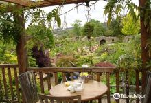 Larch Cottage Nurseries购物图片