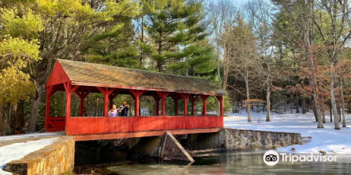 Stratton Brook State Park