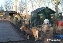 Kinderboerderij Velserbeek景点图片