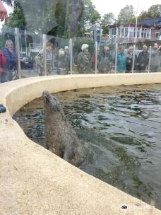 基尔水族馆-基尔