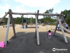 Avon Heath Country Park-圣艾夫斯