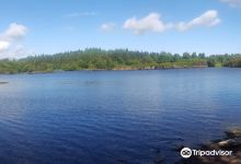 Llyn Elsi景点图片