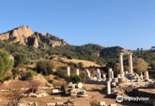 Sardis (Sardes)景点图片