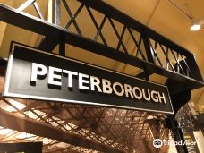 Peterborough Museum-彼得伯勒