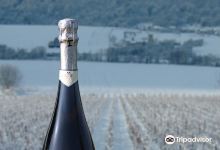 Champagne Alain Mercier et Fils景点图片