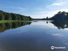 Lac de Creutzwald-柯哲斯瓦尔德拉克鲁瓦