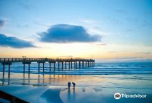 St. Johns County Ocean & Fishing Pier景点图片