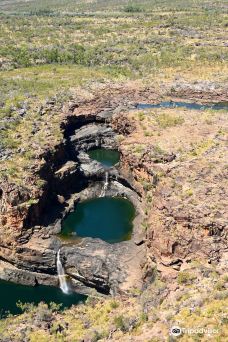Mitchell River National Park-库努纳拉