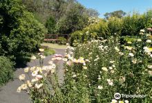 Lismore Rainforest Botanic Gardens景点图片