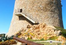 Torre di Longonsardo景点图片