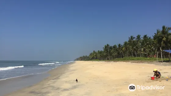 Payyoli Beach