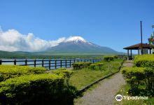 Nagaike Shinsui Park景点图片