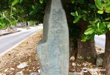 Majyano Churafukugi景点图片