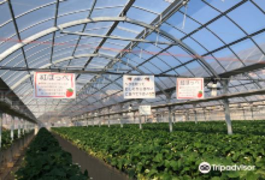 横山农园景点图片