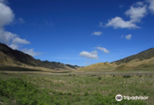 Teletubbies Hill景点图片