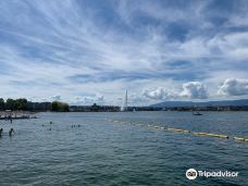 宝贝沙滩-日内瓦