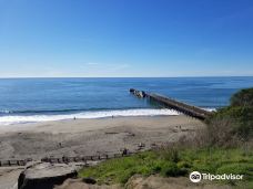 Seacliff State Beach-阿普托斯