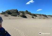 Dunas de Bani景点图片