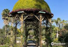 Jardin Magico购物图片
