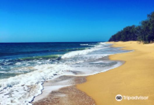 Burrum Coast National Park景点图片