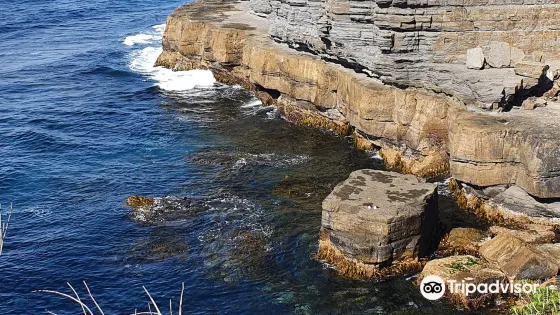 Fossil Bay Lookout